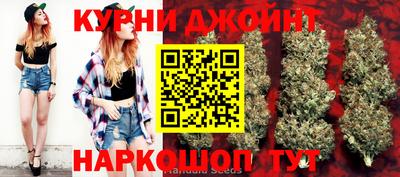 apvp Вязьма