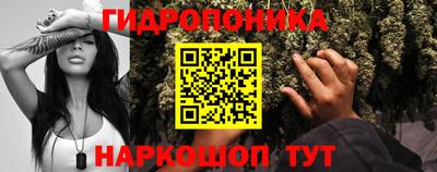 apvp Вязьма
