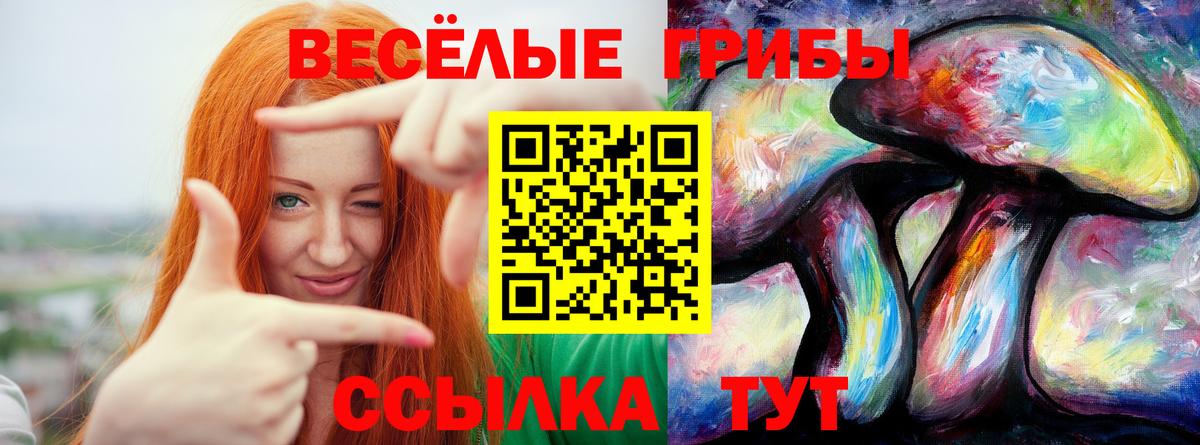 Псилоцибиновые грибы Cubensis  Вход с VPN  Бердск 