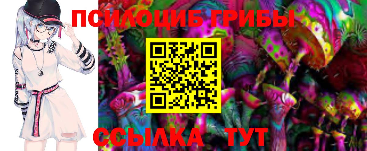 Галлюциногенные грибы Psilocybe Бердск